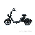 FAT TIRE ADULT LION ELECTRIC SCOOTER